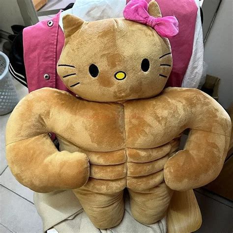 buff sanrio plush|big sanrio plushie.